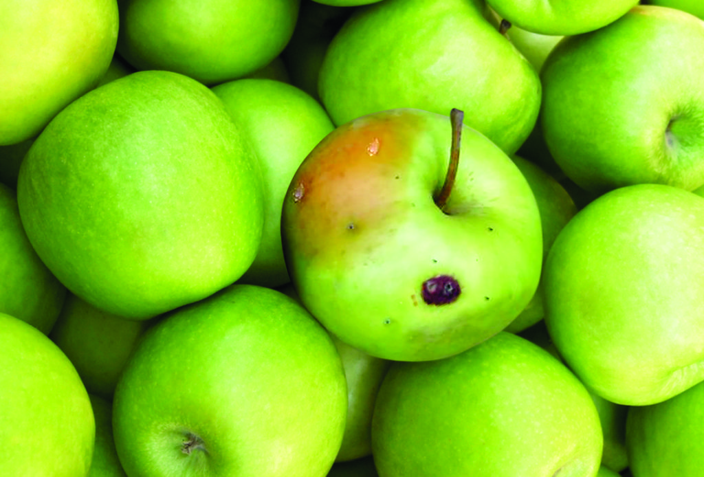 Prudential Guarantee Safeguard businesses with PGAI